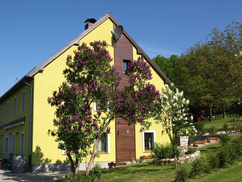 Apartmán Dom Ogrodnika Jezow Sudecki Pokoj fotografie